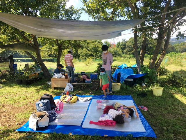 大きなシートを広げて親しい仲間とゆったり♪_農家団欒ブルーベリー園