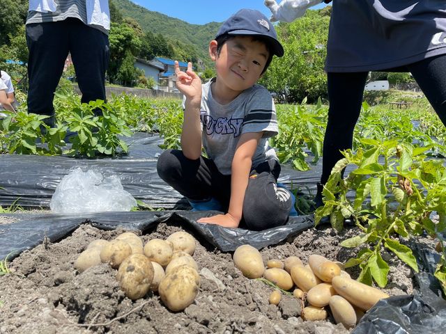 山木ファーム