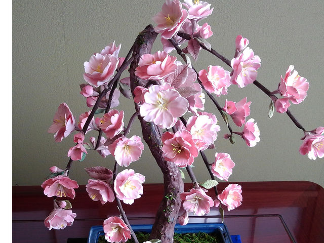 桜の盆栽です。_クレイフラワーPASTEL