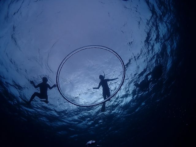Blue Turtle Ocean Sports
