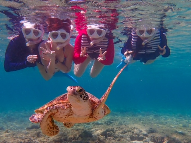 Blue Turtle Ocean Sports