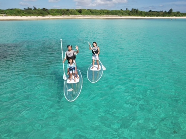 Blue Turtle Ocean Sports