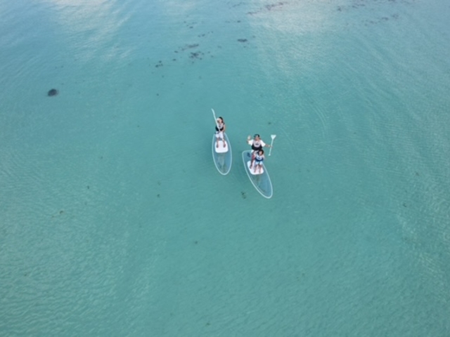 Blue Turtle Ocean Sports