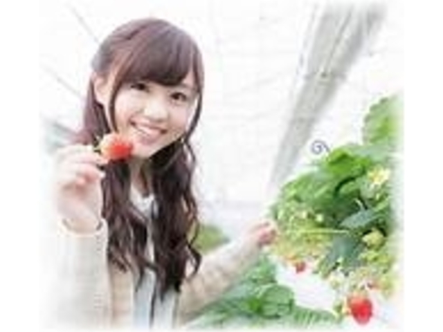 楽しいひと時を♪_strawberryfarm シャインベリー
