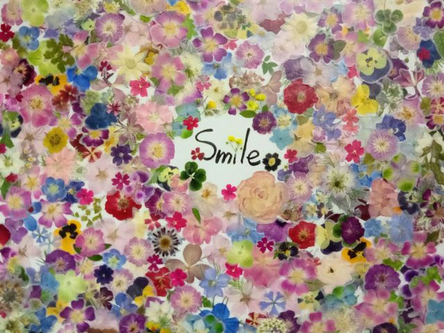 押し花シールを作り、たくさんの皆様に1枚ずつ貼っていただいたらこんなに素敵な作品になりました_アートスペース 葉菜Ohana