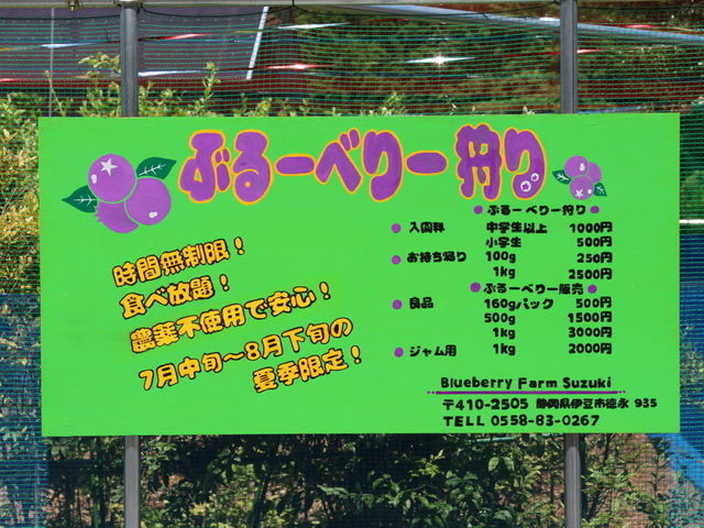 当園自慢のの手描き看板です_Blueberry Farm Suzuki