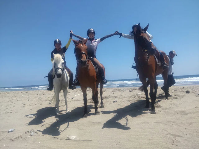 海辺外乗 山林を行く どんな馬との時間をお過ごしになりますか?!_ホースランドわたり