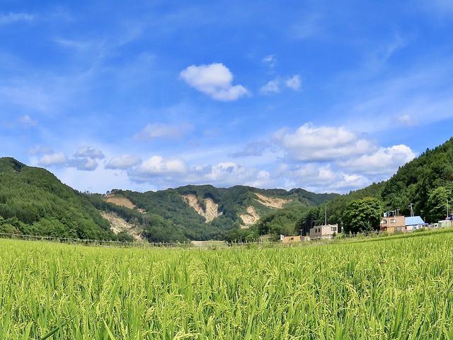 田園風景_一般社団法人厚真町観光協会