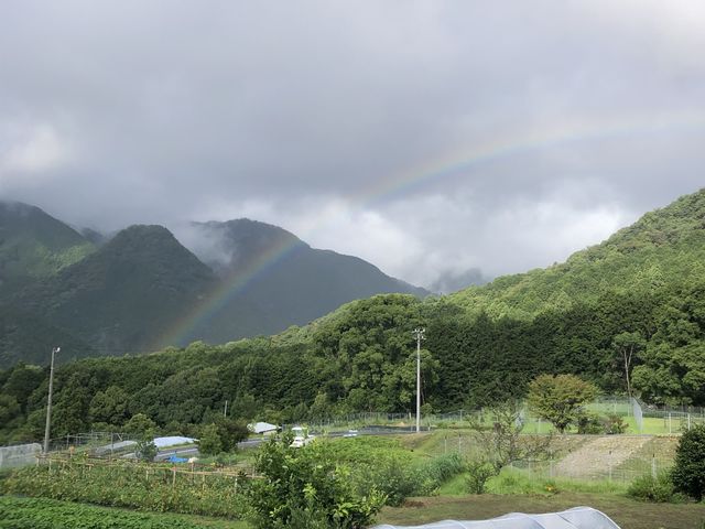 海と山に囲まれた段々畑で自然と触れ合いましょう_Shoji紀Farm-しょうじきふぁーむ-