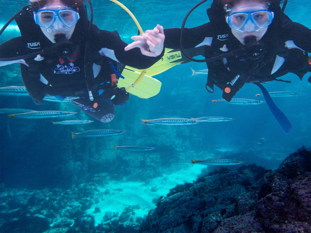 体験ダイビングも常時受付中です♪_Marine Club Kawauso