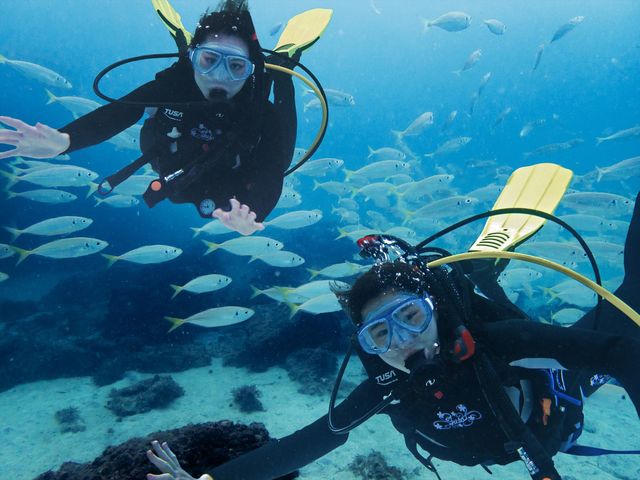 当店の主な行き先は伊豆半島! 日帰り出来る距離ですが海はキレイで生物も豊富です♪_Marine Club Kawauso