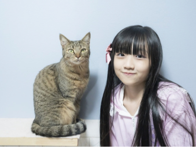 個室型猫カフェ にゃんご