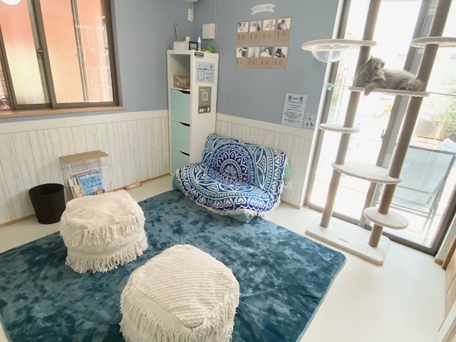 room1(ご予約時ではお部屋はお選び出来ません)_個室型猫カフェ にゃんご