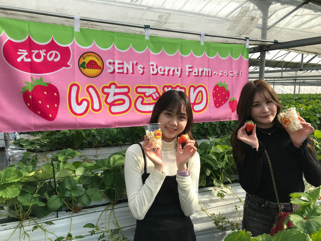 SEN's Berry Farm
