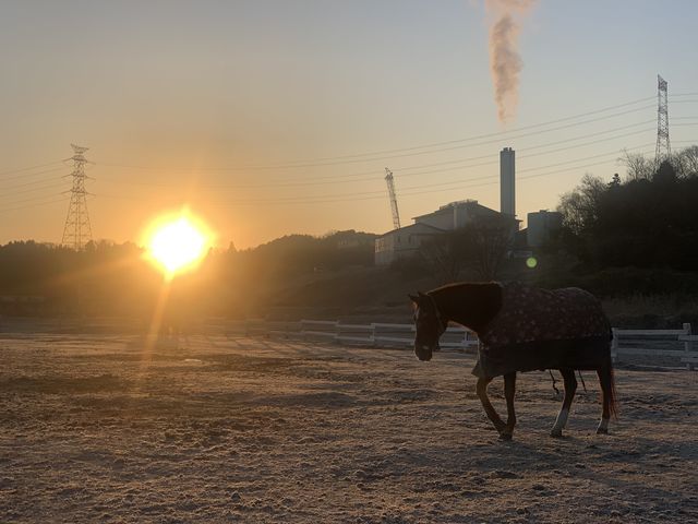 水口乗馬クラブ