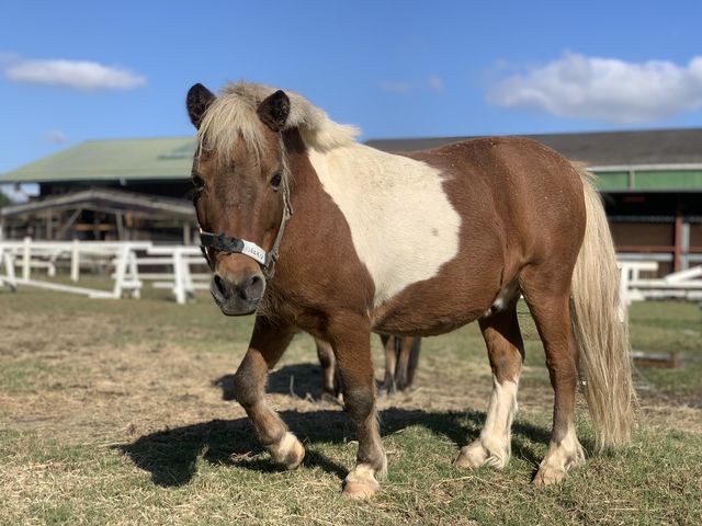 水口乗馬クラブ