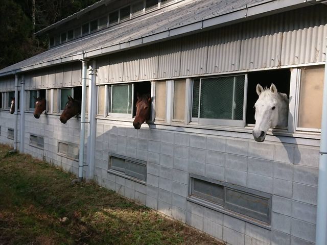 水口乗馬クラブ