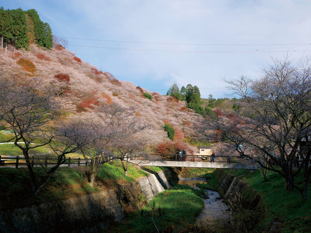 三河里旅