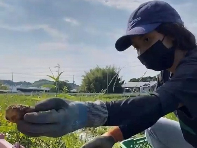 じゃがいも収穫体験_リンクスフォレスト