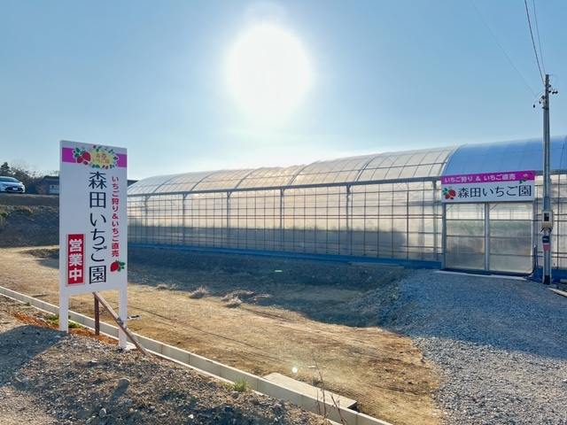 森田いちご園