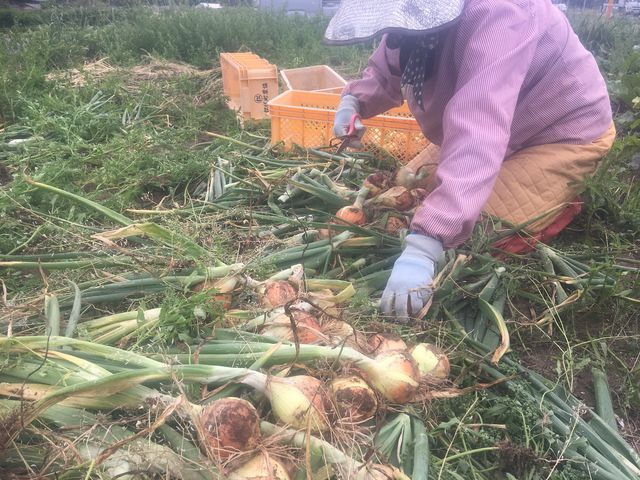 信州松代みやざき農園