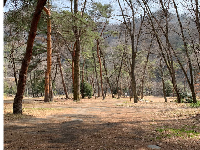 渋川市にのひするまキャンプ場。自然豊かな穴場的スポットです!_BBQ太郎 群馬店
