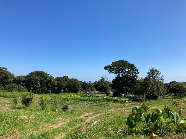 やまみずき農園_やまみずき農園