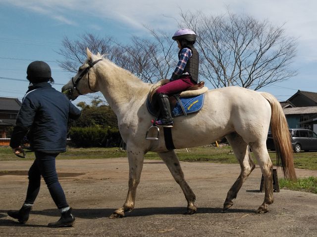 阿蘇中央ホースアイランド