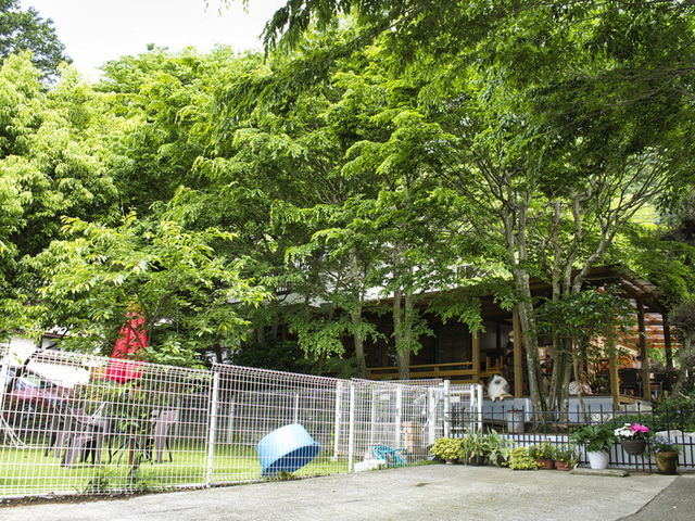 店舗全景_Cafe Maera.