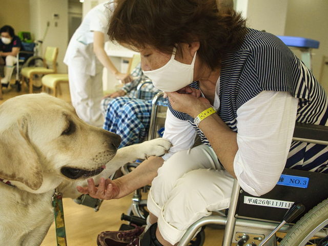 セラピー犬として活動しています_Cafe Maera.