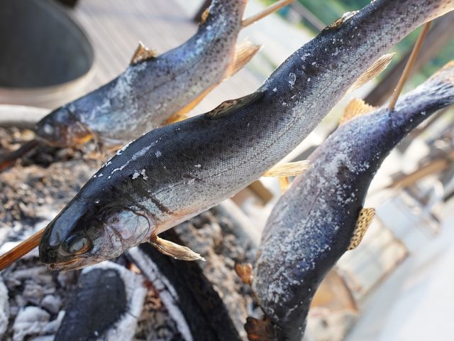 釣った魚を塩焼きにして食べられます。_308Club