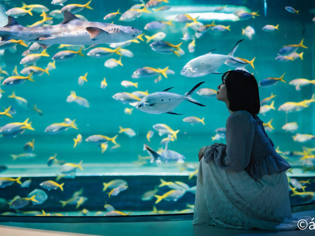 △2階 MARINE NOTE_AQUARIUM×ART atoa
