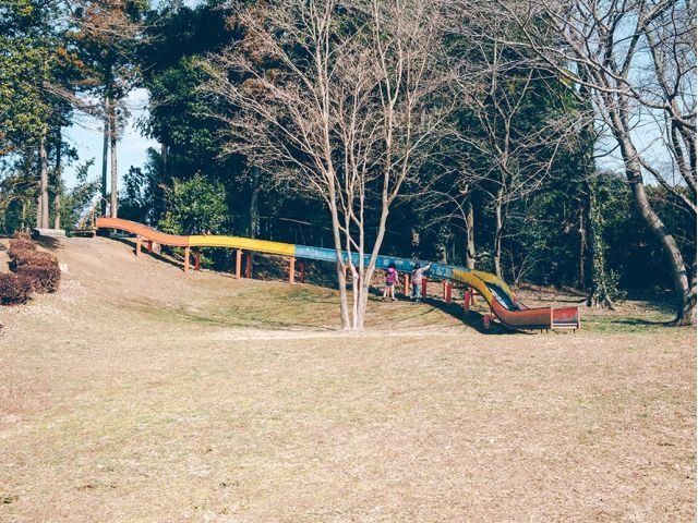 農園近くの「川口公園」でのんびりと♪ブルーベリー観光農園でのブルーベリー摘み取りと川口公園のセットで、家族でゆったり半日遊ぶことができます!_アオニサイファームブルーベリー観光農園