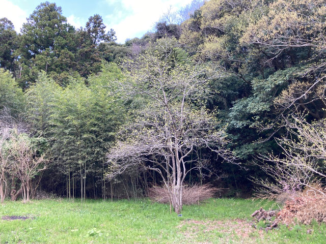 sotono花屋自然体験キャンプ場