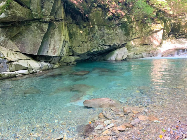 どろがわ山上川キャンプ場