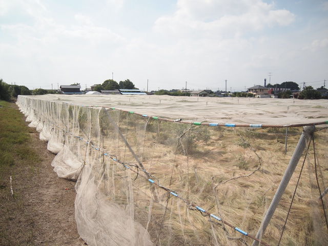 関野ファーム