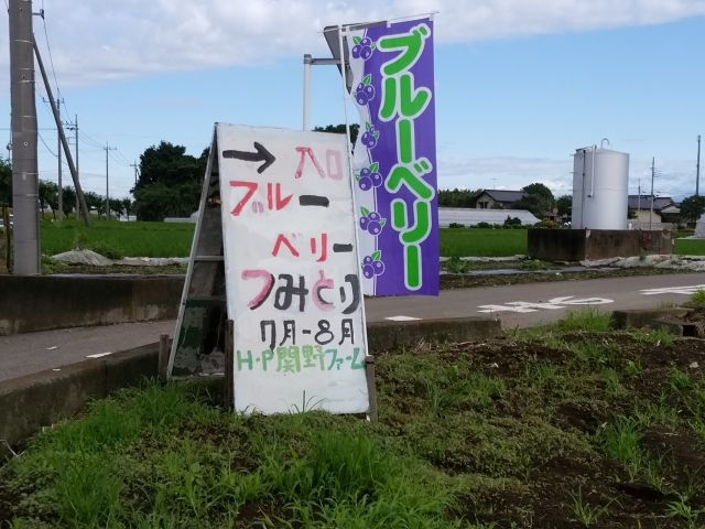関野ファーム