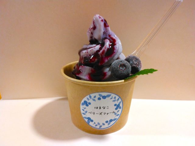 自家製ブルーベリー
ソフトクリーム_ハマナコベリーズファーム