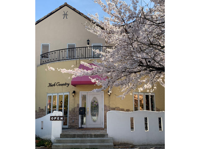 お店の前には大きな桜の木・・・花の季節にはテラスでお花見ができます。今はコロナ禍なので、一回一組限定でご予約承ります。
開花〜花吹雪まで_ハーブカントリー