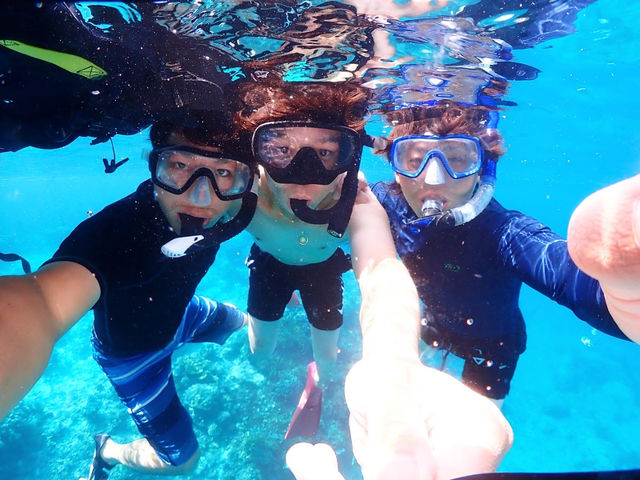 元気で楽しそうなお姿のアップお写真♪
透明度抜群ですね(^-^)_SEA FAN