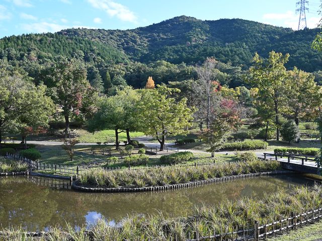 出発は愛知県春日井市都市緑化植物園、「みろくの森」や「春日井三山」に囲まれた公園です_自然の「なぜ?」を考える山歩き