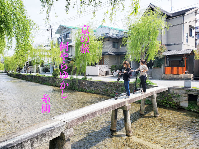 電動キックボードの旅なら思いもよらない発見がたくさんあるんです_MEISEISHARYO 寺町店