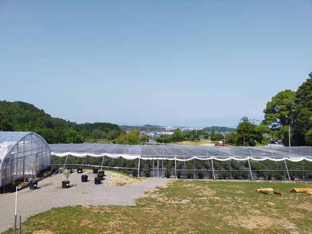 眺めが最高。高台にあるので心地よい風が吹いて気持ち良いですよ。_ブルーベリーランドシャフト