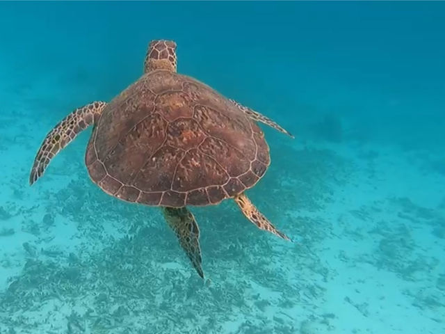 サンエイト池間島