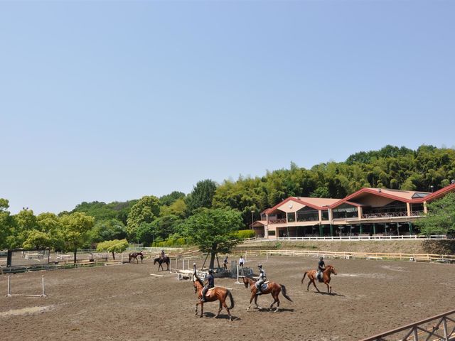 緑地公園の緑をバックにのびのびと乗馬をお楽しみいただけます_服部緑地乗馬センター