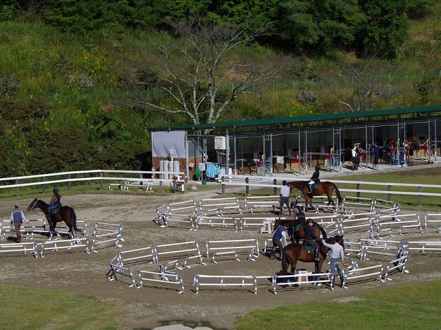 乗馬クラブクレイン北大阪