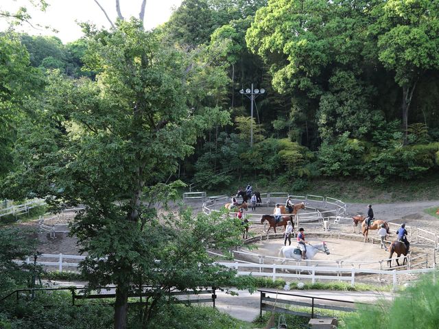 乗馬クラブクレイン千葉