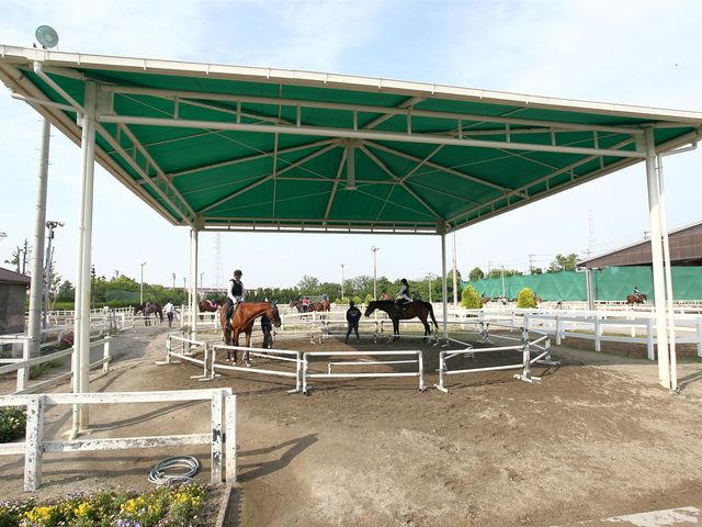 屋根付き馬場を用意しております。日差しが強い日や雨の日でも心配なくレッスンを受ける事ができます。_乗馬クラブクレイン東海