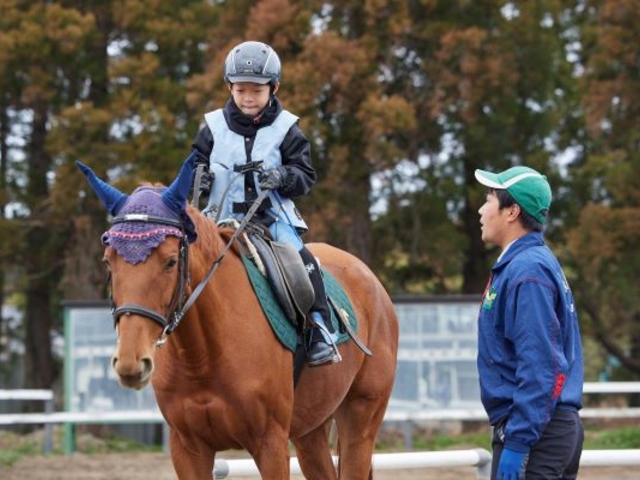 ジュニア会員の在籍数が約400名です。 姿勢の矯正や体感を鍛えるスポーツとなる為に沢山のお子様が見えられています。_乗馬クラブクレイン東海