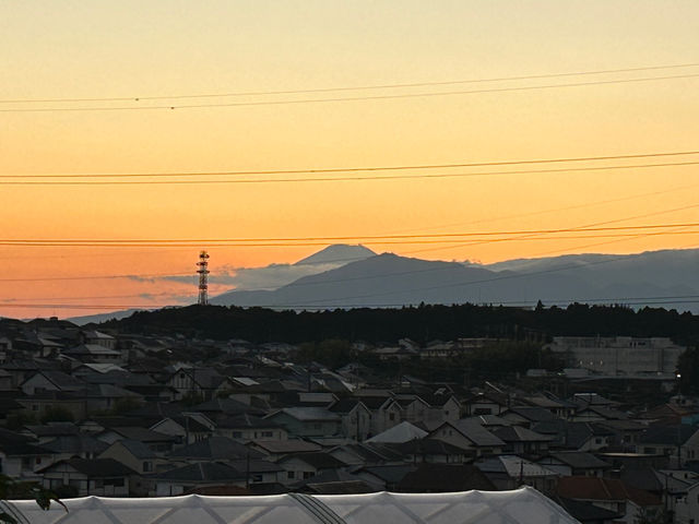 農園の1番上の温室の外からは横浜市旭区周辺の景色を見る事が出来ます。天気が良ければ富士山も♪_新川農園